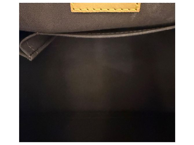 Louis Vuitton Borsa Tote Alma GM in Vernis Multicolore - vista 12