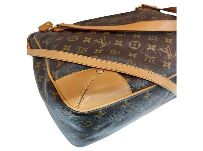 Louis Vuitton Sac à bandoulière et cabas Monogram Canvas Estrella MM Marron - vue 7