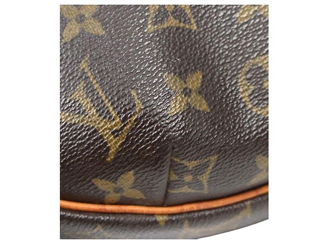 Louis Vuitton Monogram Croissant Multicolor - vista 5