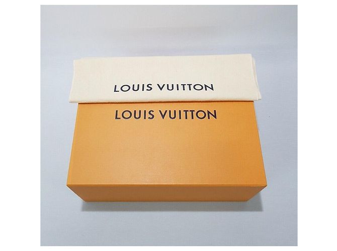 Louis Vuitton Slingback Damier Infini Argento - vista 10