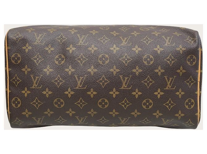 Louis Vuitton Monogram Canvas Speedy Tote Bag Braun - Ansicht 6