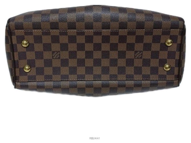 Louis Vuitton Borsa Tote Damier Trevi PM Marrone - vista 7