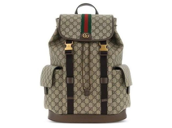 Gucci Zaino Ophidia Large Marrone - vista 4