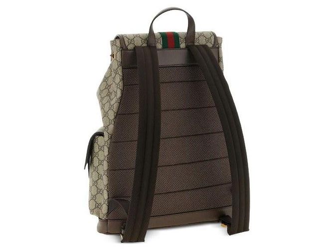 Gucci Zaino Ophidia Large Marrone - vista 6