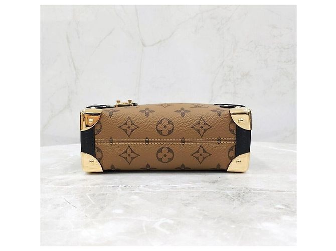 Louis Vuitton Nuovo Side Trunk PM in tela Monogram Reverse Multicolore - vista 7