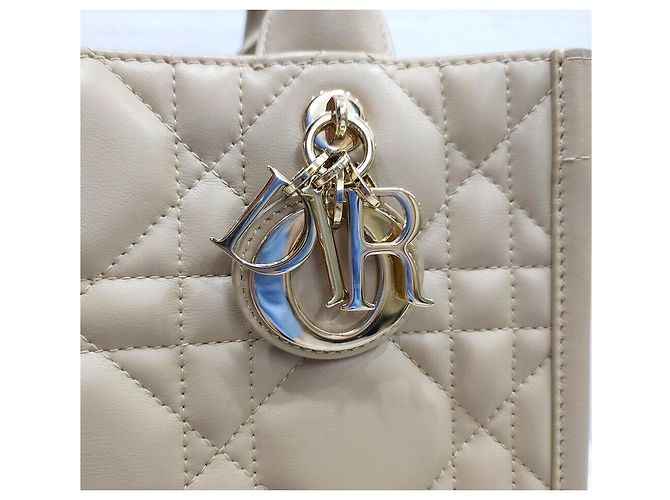 Book Tote Dior Borsa Tote Leather Book Small Beige Polvere Marrone - vista 6
