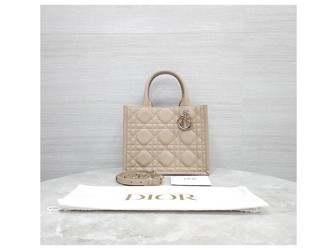 Book Tote Dior Borsa Tote Leather Book Small Beige Polvere Marrone - vista 9