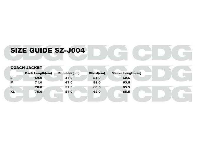 Comme Des Garcons Lettering Coach Jacket - Ansicht 9