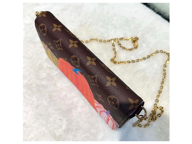 Louis Vuitton Pochette Monogram Felicie GM Multicolore - vista 5