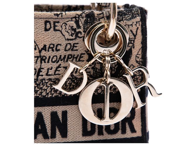 Dior Beige Mini Tela Ricamata Plan de Paris Lady D Lite - vista 5
