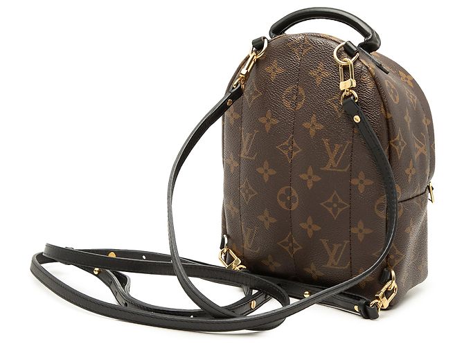 Louis Vuitton Marrone Monogram Mini Palm Springs - vista 2