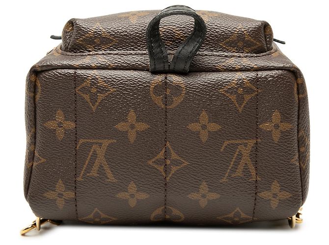 Louis Vuitton Marrone Monogram Mini Palm Springs - vista 3