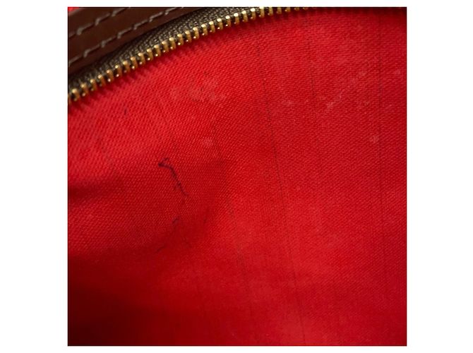 Borsa Tote Louis Vuitton Damier Ebene Neverfull PM Rosso - vista 10