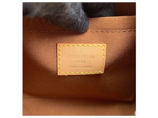 Borsa a spalla Louis Vuitton Monogram Thames PM Marrone - vista 12