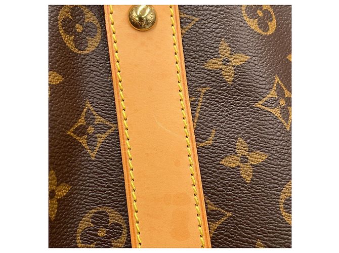 Bolso Boston Monogram Louis Vuitton Castaño - vista 9