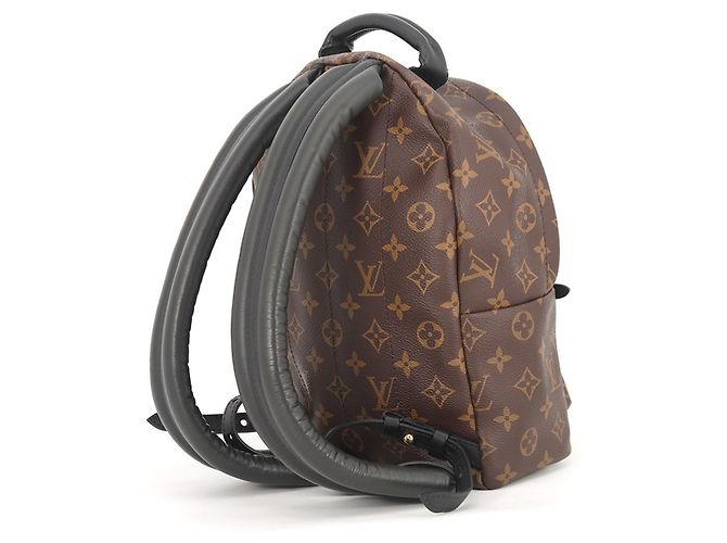 Louis Vuitton Monogram Palm Springs Backpack PM Rucksack Schwarz - Ansicht 2