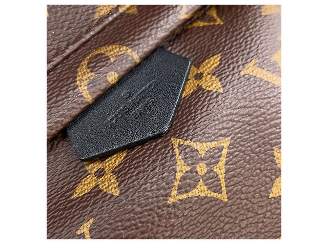 Louis Vuitton Monogram Palm Springs Backpack PM Rucksack Schwarz - Ansicht 8