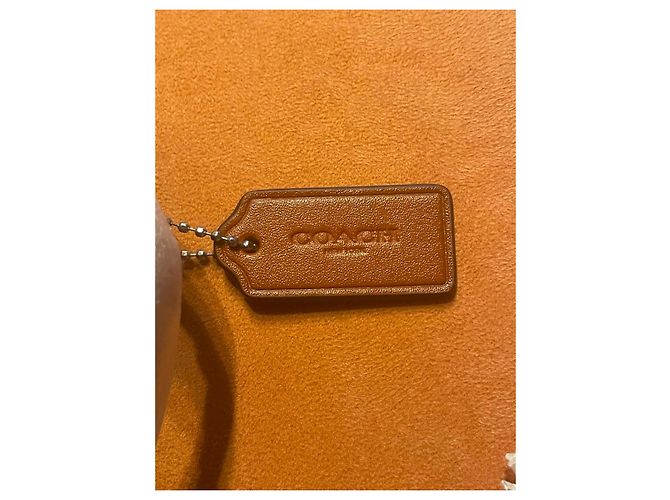 Coach Glv Penn Borsa a tracolla in pelle Burnished Amber Marrone - vista 2