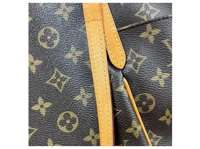 Borsa Tote Louis Vuitton Totally MM Monogram Marrone Multicolore Monogramma - vista 12