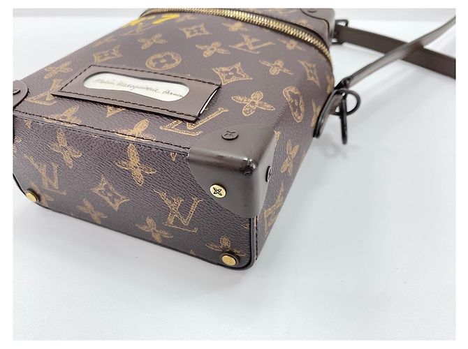 Borsa a Spalla Louis Vuitton Vertical Box Trunk Marrone - vista 8