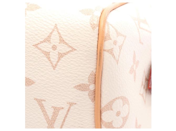 Louis Vuitton Marrone Monogram Dune Speedy Bandouliere 20 Beige - vista 7