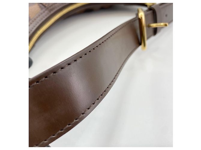 Borsa a Spalla Louis Vuitton Thames PM Marrone - vista 11
