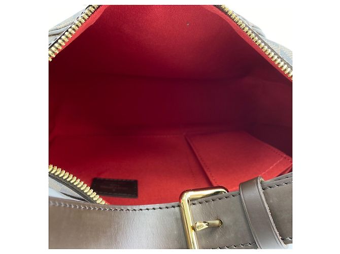 Borsa a Spalla Louis Vuitton Thames PM Marrone - vista 12