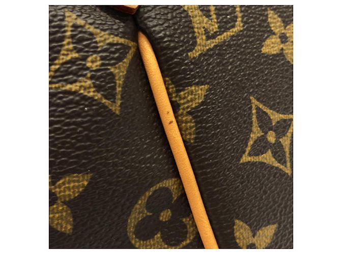 Borsa Tote Louis Vuitton Monogram Marrone - vista 6