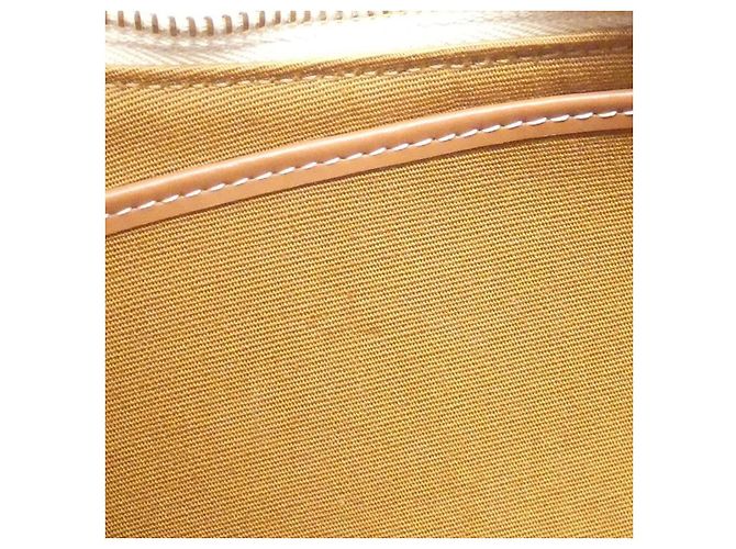 Céline Borsa a tracolla Celine Ava Trionphe Canvas Calf Marrone Beige - vista 6