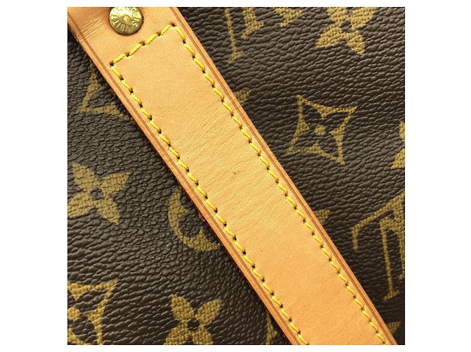 Borsa Boston Monogram Louis Vuitton Marrone - vista 6