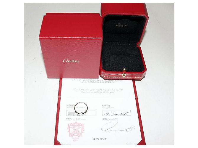 Cartier 1895 Ehering Pt950 Ringgröße 54 Silber Metallisch - Ansicht 3
