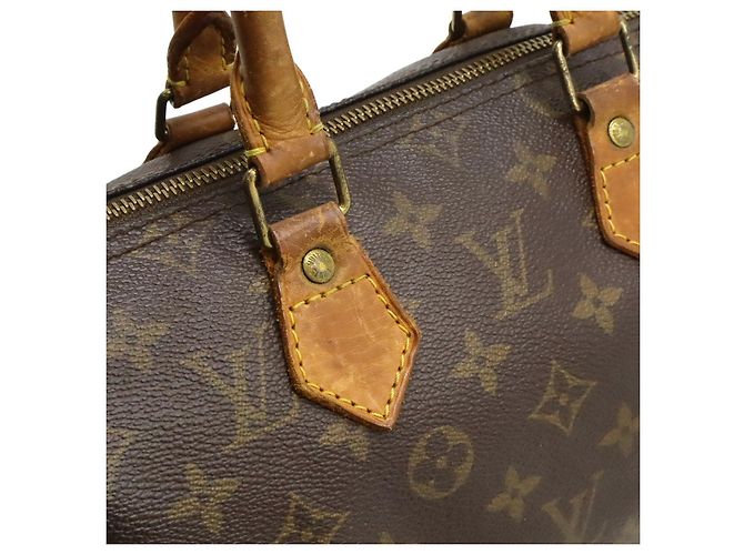 Borsa Louis Vuitton Speedy 25 Monogram Marrone - vista 8