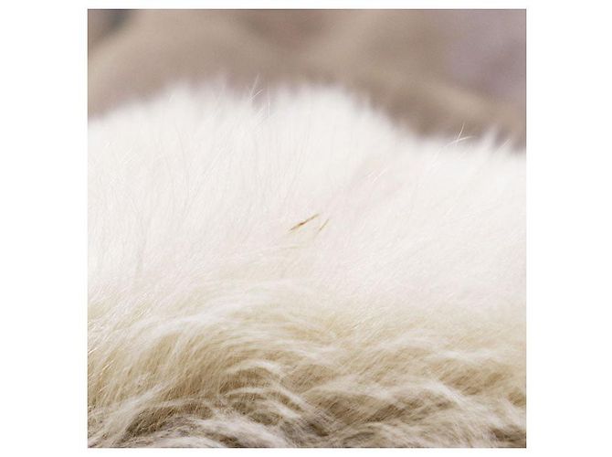 Autre Marque Abrigo de shearling NORTH BEACH Castaño - vista 13