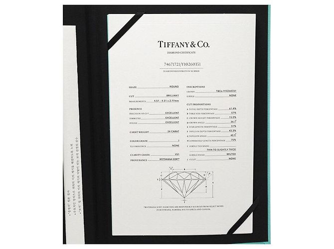 Tiffany & Co Platin-Diamant-Ehering Karat Größe - Ansicht 8