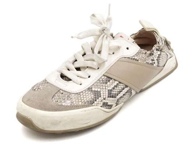 Tod's Ivory Python Pattern Women Sneakers White - view 2