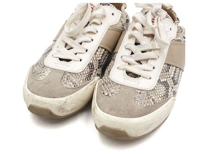 Tod's Ivory Python Pattern Women Sneakers White - view 5