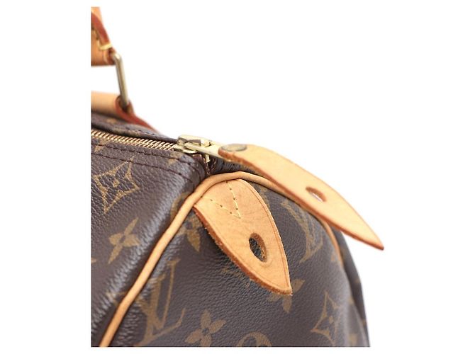 Louis Vuitton Speedy Tote Bag aus Monogram Canvas Mehrfarben - Ansicht 17