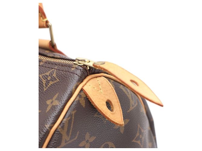 Louis Vuitton Speedy Tote Bag aus Monogram Canvas Mehrfarben - Ansicht 7