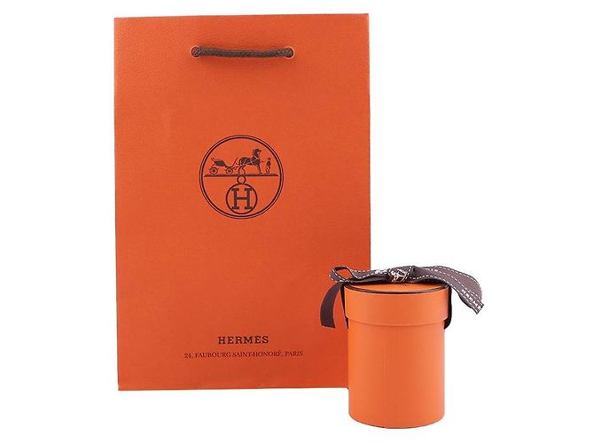 Hermès Twilly Equateur Dorado - vista 14