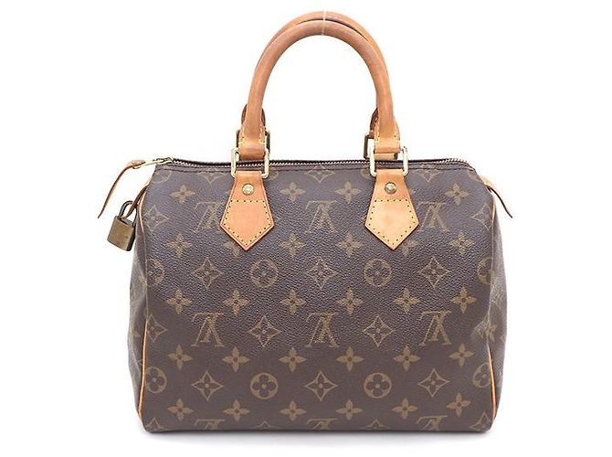 Louis Vuitton Speedy Tote Bag aus Monogram Canvas Mehrfarben - Ansicht 3