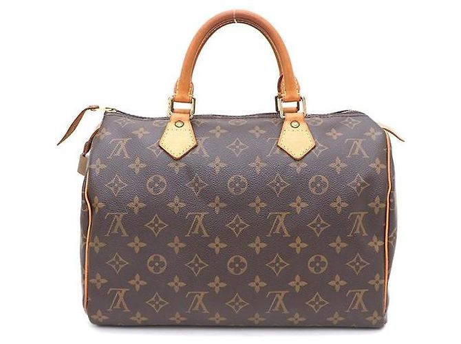 Louis Vuitton Borsa Tote Speedy in tela Monogram Multicolore - vista 3