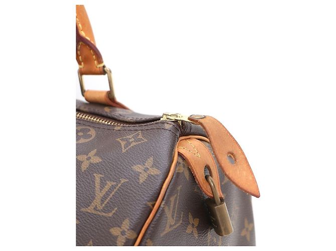 Louis Vuitton Borsa Tote Speedy in tela Monogram Multicolore - vista 5