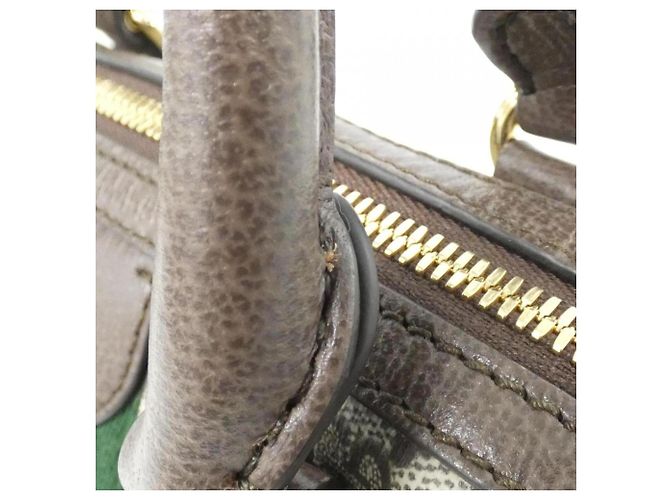 Borsa Boston Ophidia Gucci Marrone Beige - vista 5