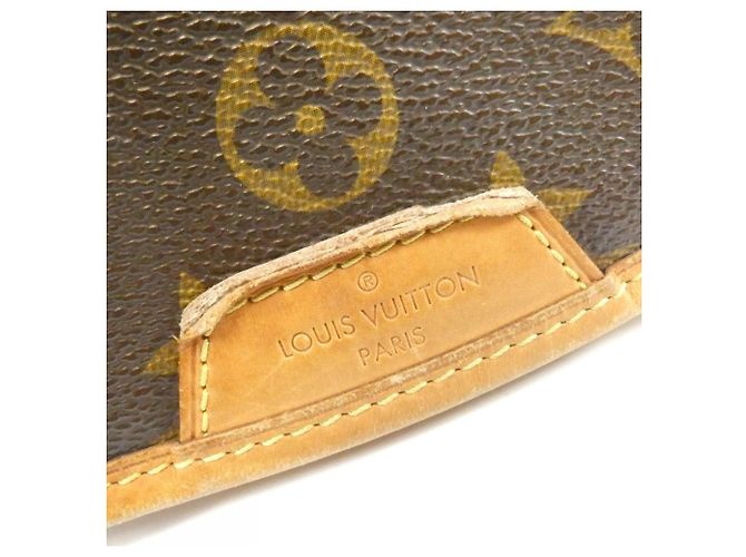 Borsa a Spalla Louis Vuitton Monogram Menilmontant PM Marrone - vista 4