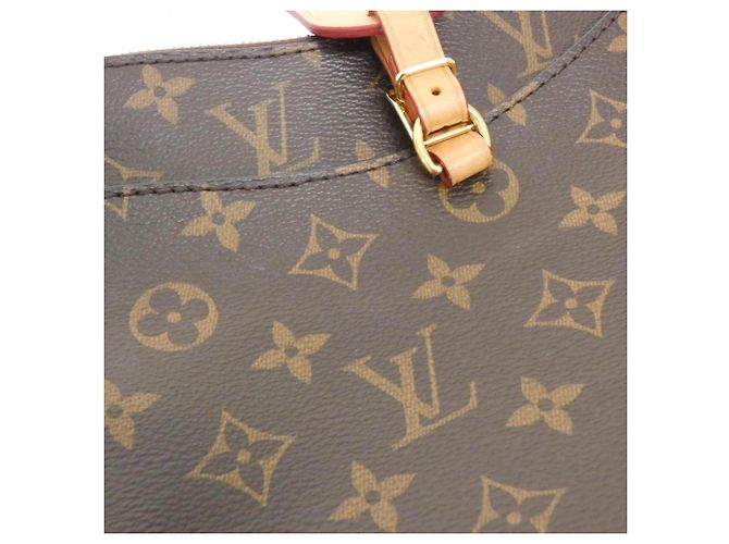 Borsa a Spalla Louis Vuitton Monogram Odeon PM M45354 Marrone - vista 5