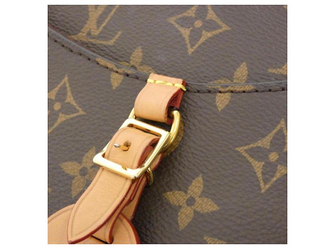Borsa a Spalla Louis Vuitton Monogram Odeon PM M45354 Marrone - vista 6