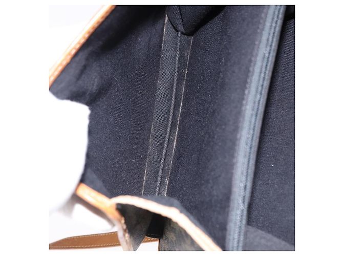 Borsa Christian Dior Trotter Canvas PVC 2way Navy Gold Auth 192200 D'oro Blu navy - vista 21