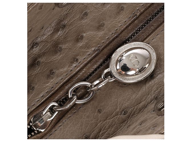 Borsa a mano 2Way Lady Dior in struzzo Large marrone Grigio - vista 13