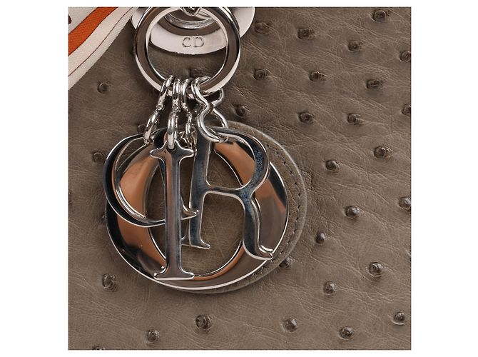 Borsa a mano 2Way Lady Dior in struzzo Large marrone Grigio - vista 14