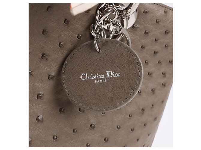 Borsa a mano 2Way Lady Dior in struzzo Large marrone Grigio - vista 15